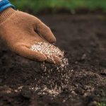 najboljše gnojilo za travo